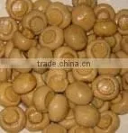 Canned Mushroom Whole in Brine 800g thumbnail-6