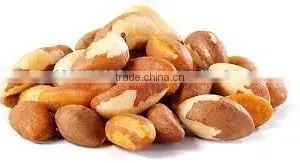 Brazil Nut thumbnail-1