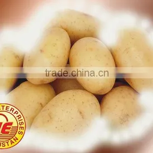 POTATO thumbnail-1