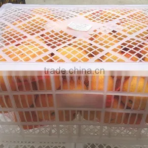 Names of Fruit Products Mandarin Orang With Complete Price thumbnail-1