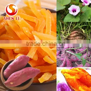 Natural Sweet Potatos Chips--Ready to Eat Chinese Healthy Snacks thumbnail-2