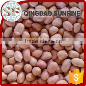 Planting Cheap Peanuts Kernel thumbnail-3
