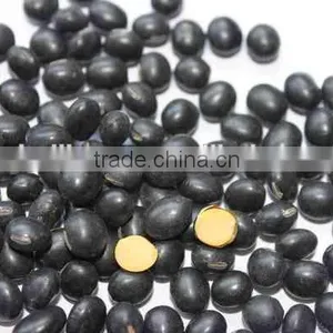 Black Soybeans With Yellow Kernel thumbnail-5