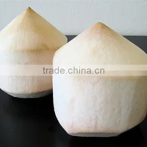 Fresh Coconut thumbnail-1