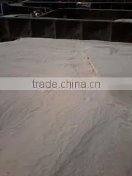 Construction River Sand for Sale/ Low Price Construction Sand for Concrete thumbnail-1