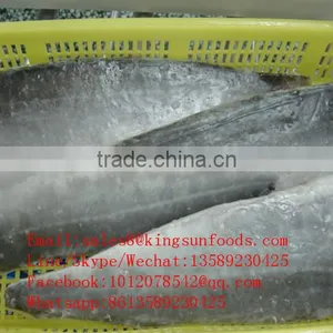 Cheap Wholesale Light Salted Seafood Saithe Fillet on Hot Sale for Market thumbnail-4