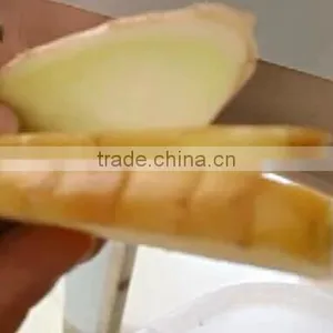 FC-306 Effective Vegetable Celery Cucumber Cutting Machine thumbnail-5