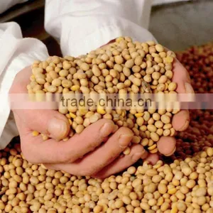 ORGANIC SOY BEANS thumbnail-1