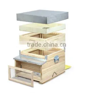 Beehive thumbnail-1