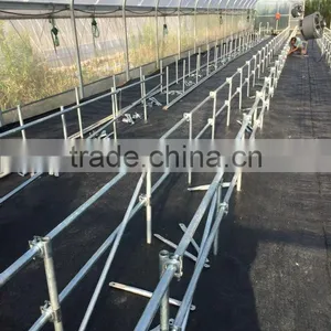 Commercial Greenhouse for Sale Used Commercial Greenhouses thumbnail-2
