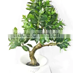 Small Fake Bonsai Trees thumbnail-1