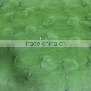 Artificial Moss Grass Wall for Decoration Real Artificial Moss Mat thumbnail-4