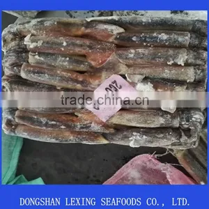 Frozen Illex Argentinus Squid thumbnail-1