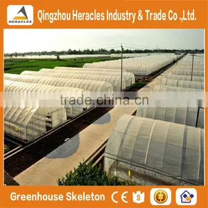 Heracles Low Cost Vegetable Seeds Greenhouse / Hoop House thumbnail-5