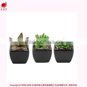 Wholesale Mini Succulent Potted Artificial Mini Aloe Green Aloe Artificial Plant thumbnail-3