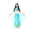 Light Blue Chiffon Spandex Belly Dance Performance Costumes With Imitated Silk Embroidery thumbnail-1