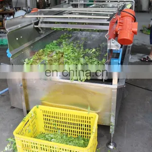 Commercial Vortex Type Automatic Tomato Pepper Vegetable Washing Machine Seaweed Crawfish Cleaning Machine thumbnail-5