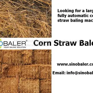 Corn Straw Baler Machine thumbnail-1