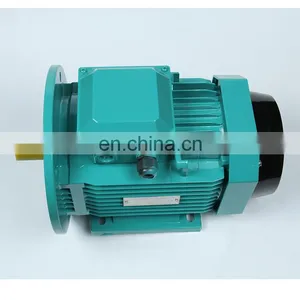 Factory Direct Selling High Efficiency Three Phase Generator Universal Induction Motor YE2 Series 7.5kw for Food Machine thumbnail-2
