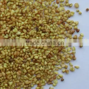 Bitter Buckwheat Kernel thumbnail-1