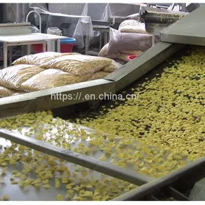 China Machines Supplier Extruded Instant Corn Flakes Food Makes Machinery/Production Line thumbnail-4