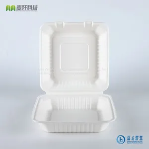 PFAS FREE Disposable Biodegradable 9*9 Take Away Sugarcane Bagasse Clamshell Container thumbnail-2