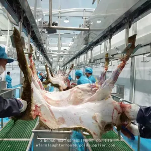 Sheep Equipment Foreleg Conveyor For Goat Slaughter House thumbnail-1