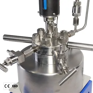High Temperature and High Pressure Reactor thumbnail-3