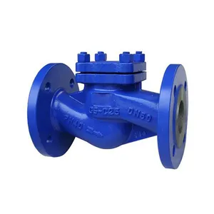 Factory Direct Sales Lifting Check Valve thumbnail-1