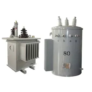 11kV Single Phase Transformer 35kVA for Solar Farm Grid Connection thumbnail-1