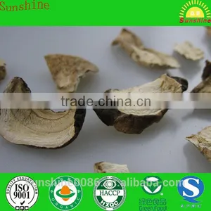 Dried Boletus Comestible Wild Porcini thumbnail-1