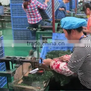 Christmas Tree Binding Branch Machine thumbnail-5