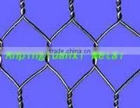 Hexagonal Wire Mesh thumbnail-1