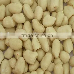 Chinese Blached Peanut Kernels thumbnail-1