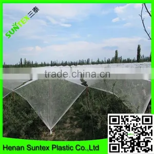PE Plastic UV Treated Hail Guard Net Mist Bird Wire Mesh thumbnail-4
