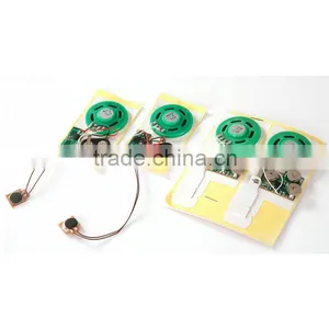 Customized Recordable Voice Recognition Chip With IC Chip thumbnail-2