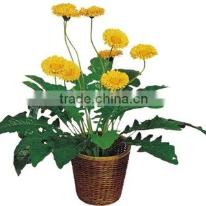 Wholesale Imitation Flowers thumbnail-1