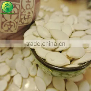 Japanese Pumpkin Seeds Snow White Pumpkin Seeds for Sale thumbnail-2