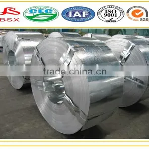 Steel Sheet in Coil thumbnail-1