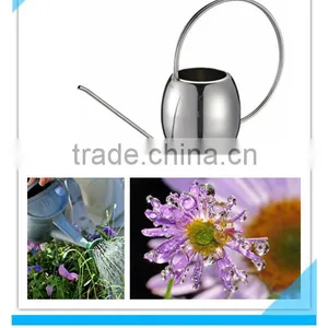 1.0L Stainless Steel Watering Can thumbnail-1
