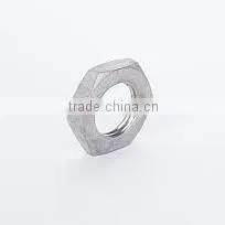 Npt Hex Nut thumbnail-1