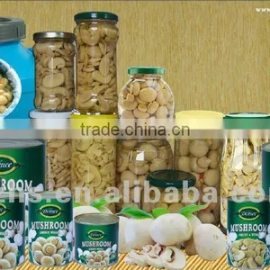 Canned Mushroom All Kinds thumbnail-1