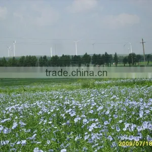 Certified Flaxseed Oil thumbnail-2