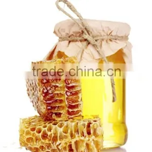 Bulk High Quality Organic Honey Wholesale Prices thumbnail-2