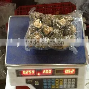 Quality Shiitake Mushroom thumbnail-2