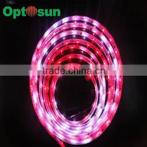 2012 Most Popular 12 Volt Led Light Strips Led Strip Rgb thumbnail-1
