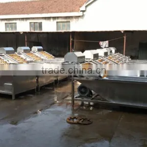 Video of SS304 Bubble Tomato Washing Machine and Washer Fruit/ Bulk Washing Machines thumbnail-1