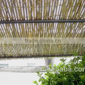 Bamboo Fence Wholesale thumbnail-4