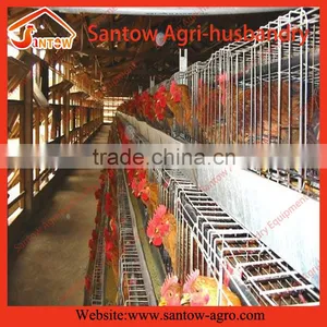 Automatic Chicken Egg Layer Cages Poultry Cage Chicken Layer Farm for Sale thumbnail-4