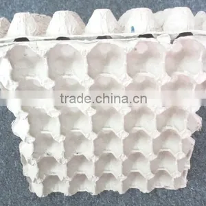 Pulp Paper Egg Tray of 30 Cells thumbnail-6